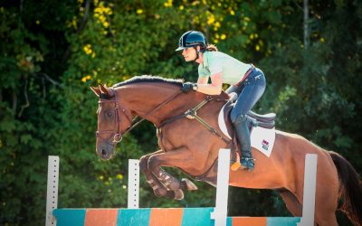 Het rechtrichten van je paard: waarom is het zo belangrijk?