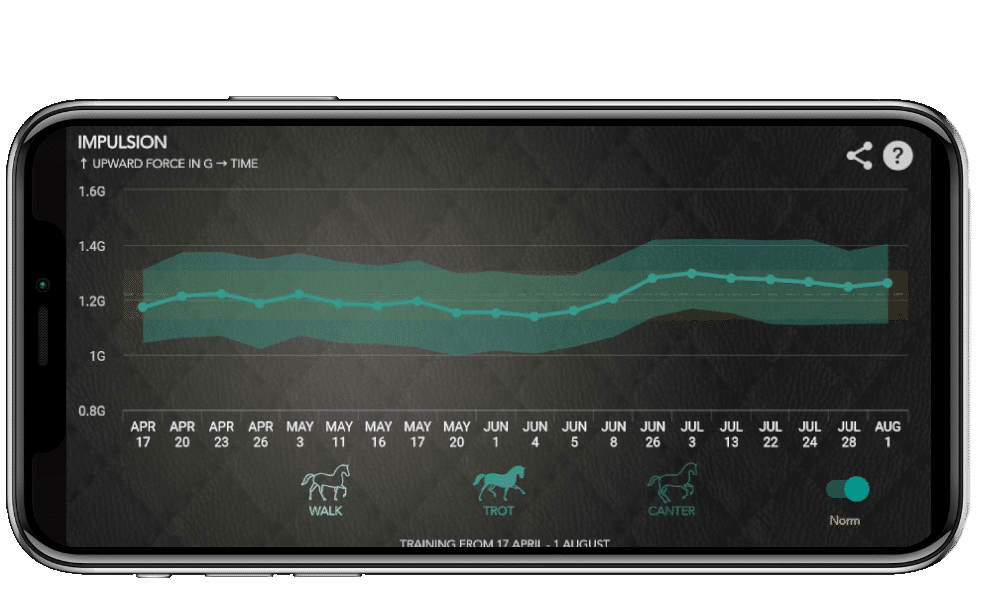 gait analysis app horse