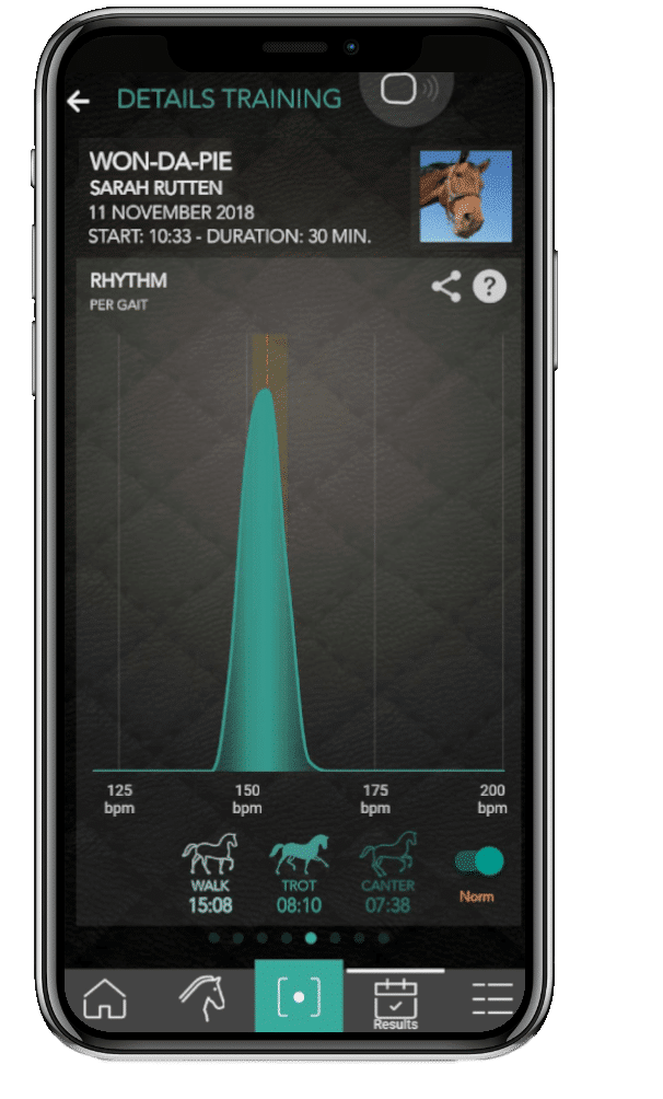 gait analysis app horses