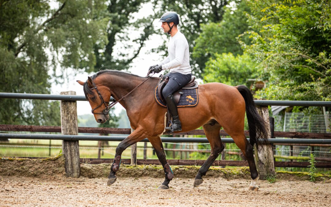 7 Tips: How to check your horse’s fitness