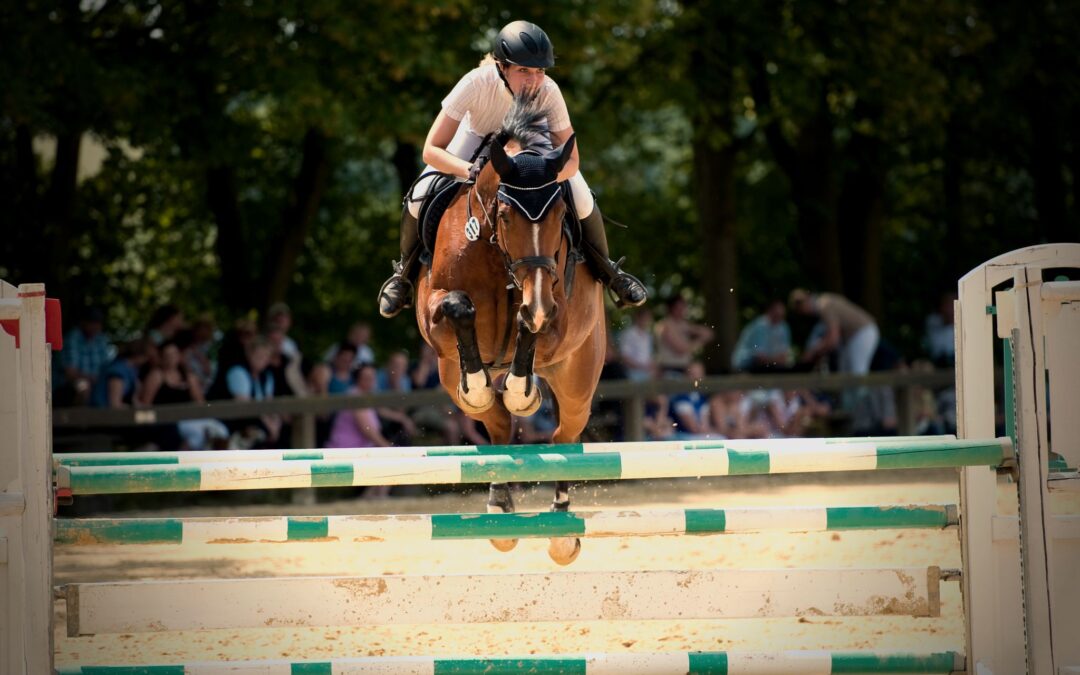 5 tips to make your horse jump higher