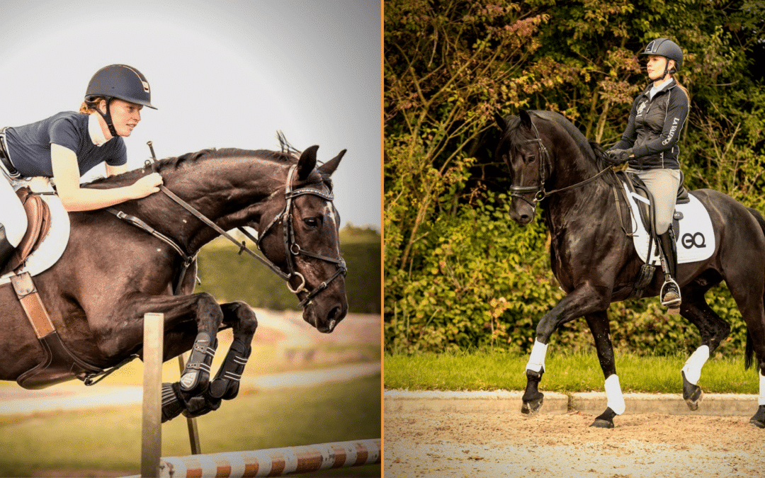 The difference between jumping and dressage riders