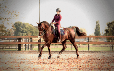 4 basic horse riding exercises to straighten your horse