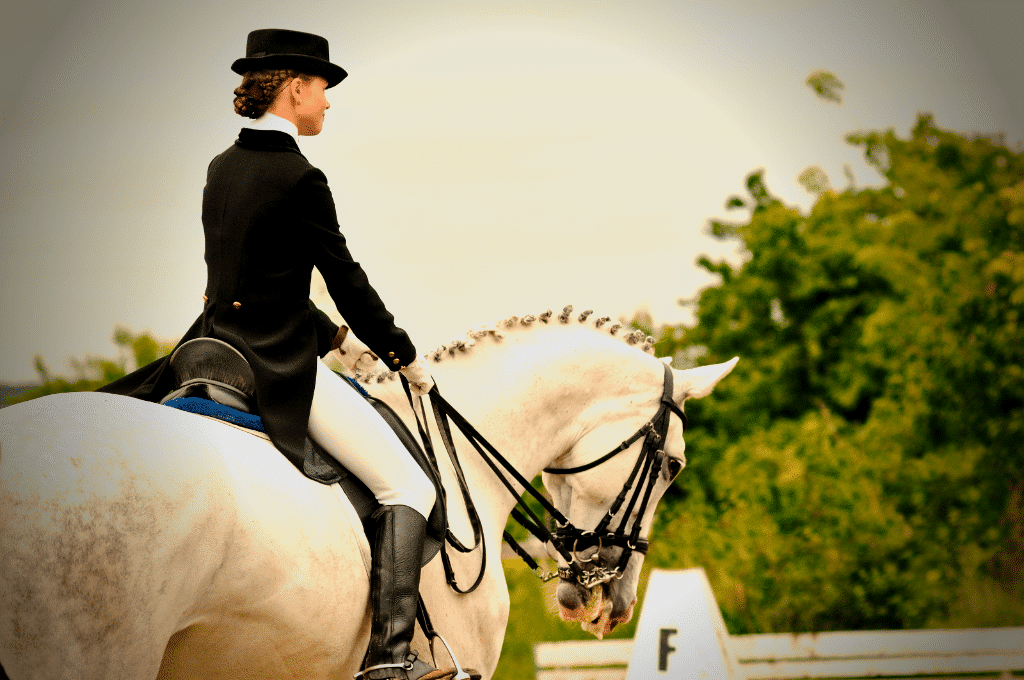 exercises to straighten your horse