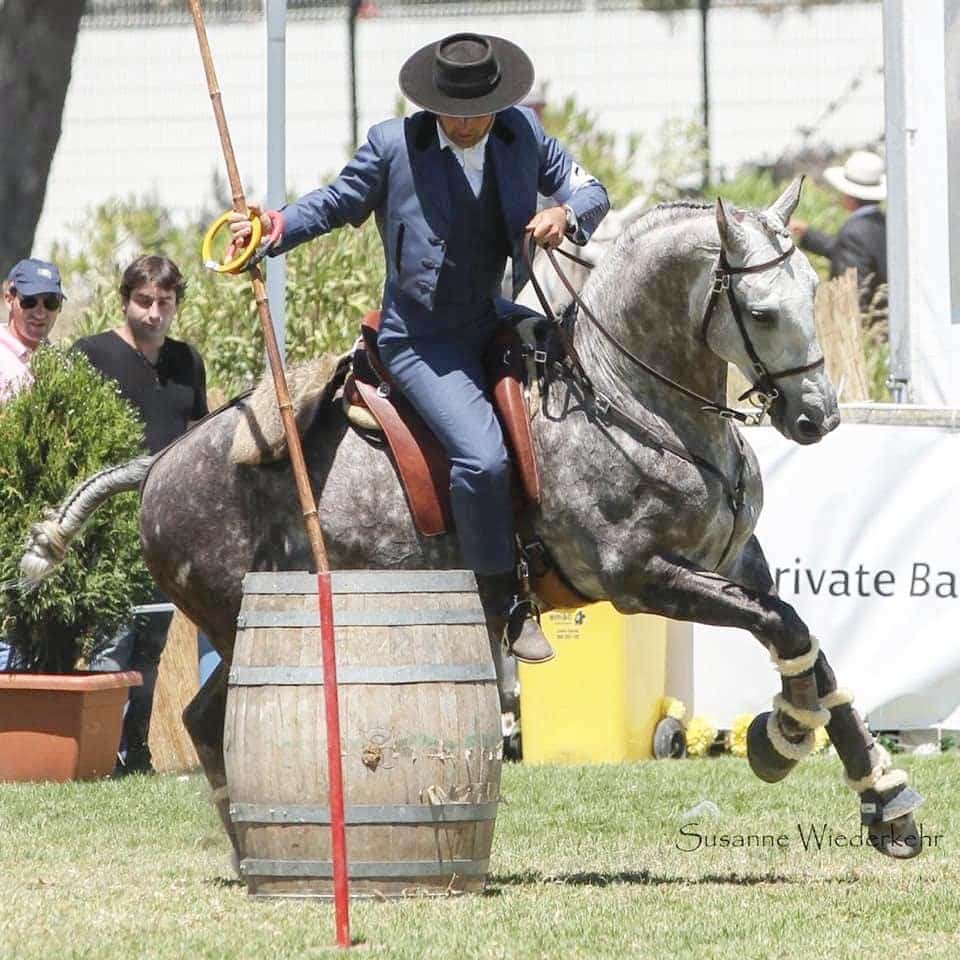 Nuno Avelar Working Equitation winner Word Championship. Garrocha, Speed trail