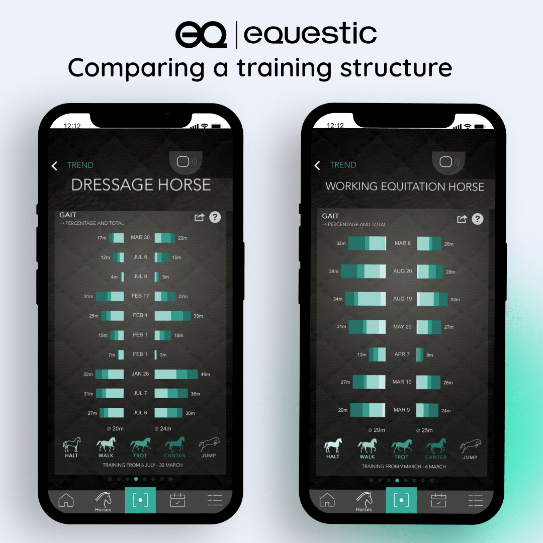 Equestic SaddleClip charts. Compare a training structure in Dressage and Working Equitation with Nuno Avelar