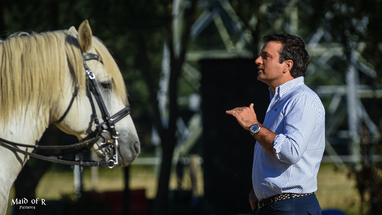 Nuno Avelar dressage and Working Equitation rider and trainer