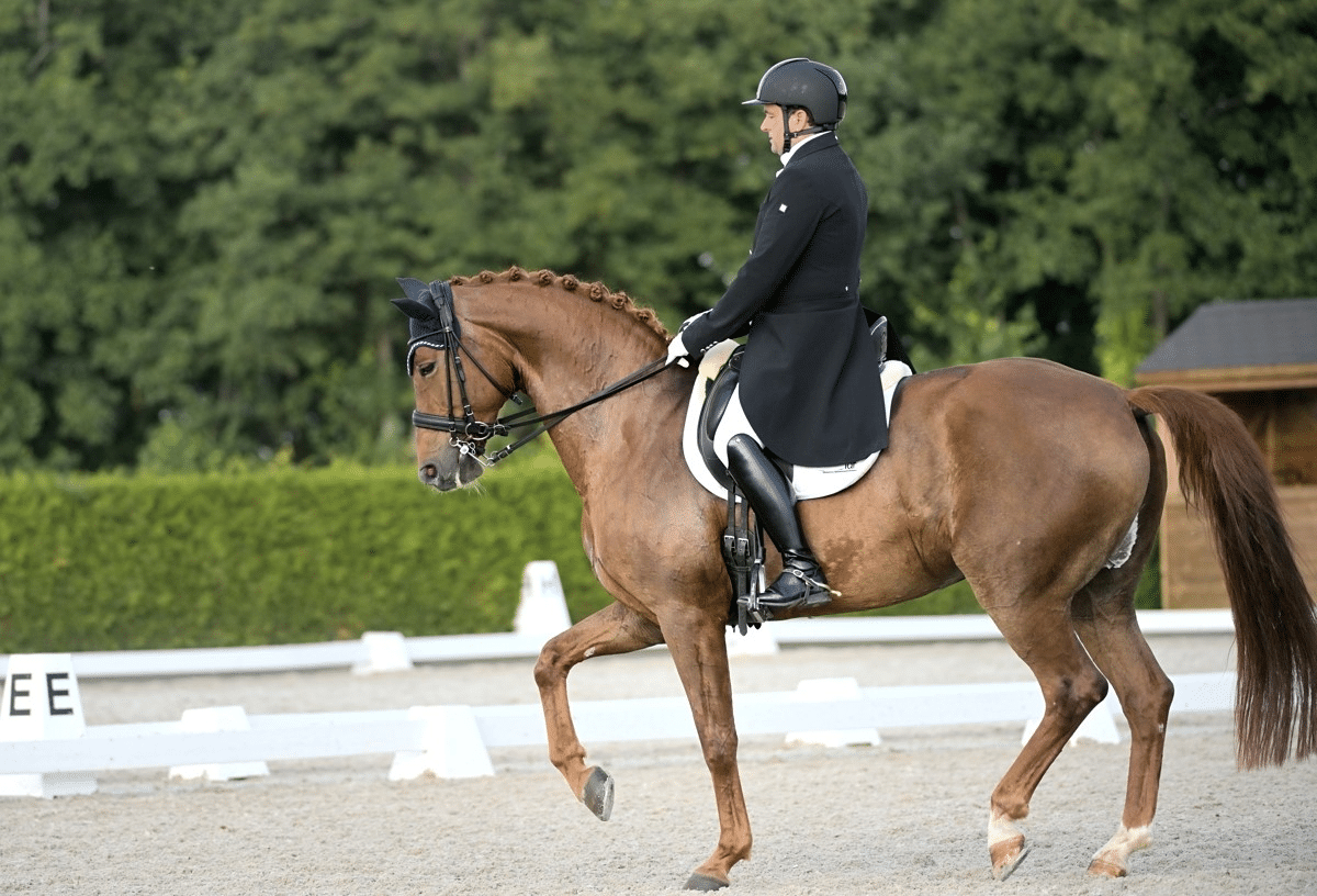 Nuno Avelar dressage Grand Prix rider and trainer