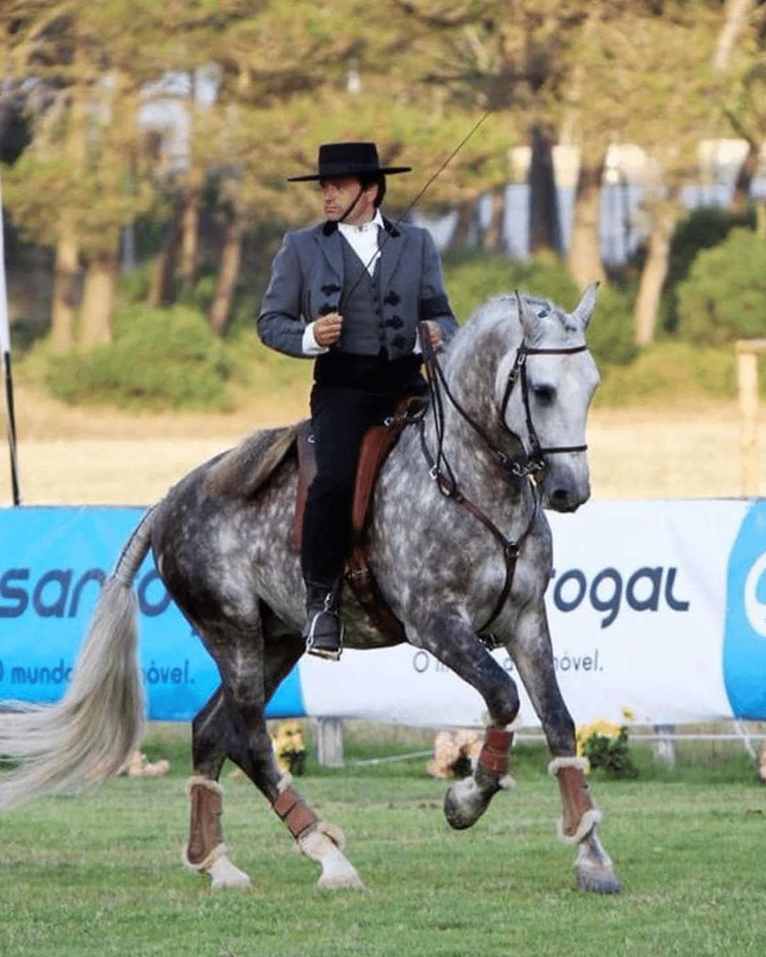 Nuno Avelar Working Equitation winner Word Championship