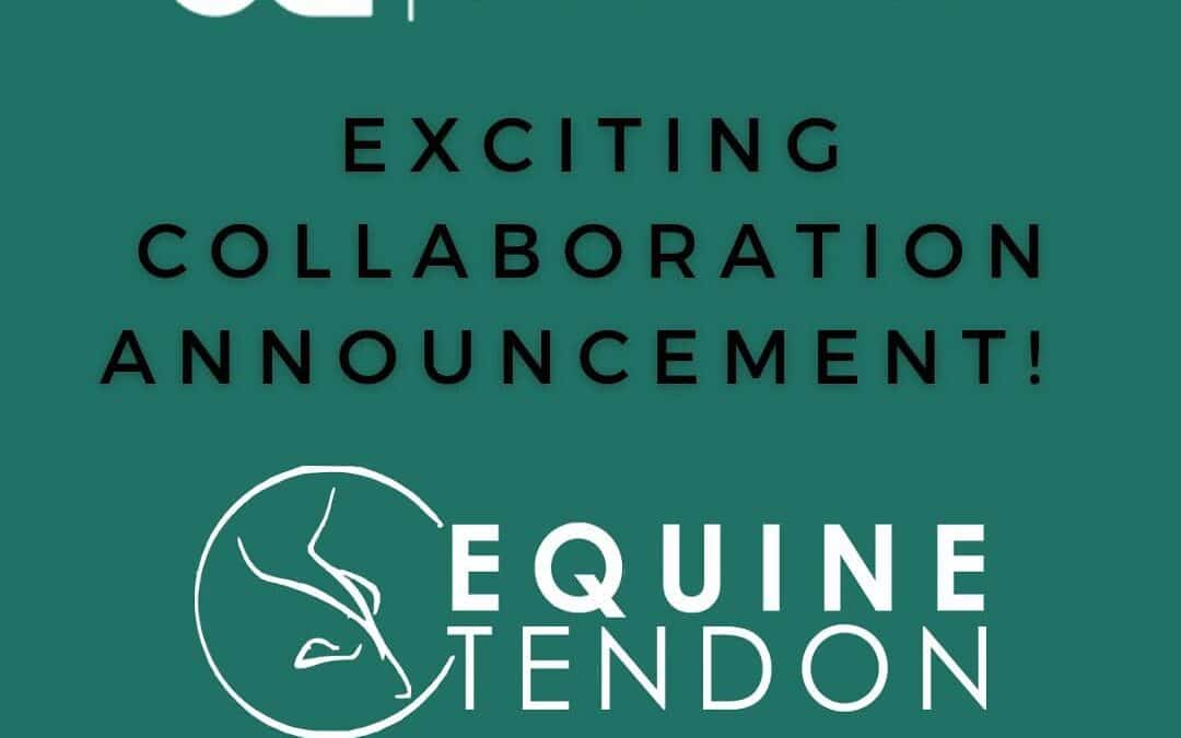 Equestic and Equine Tendon Unite to Transform Injury Prevention and Recovery