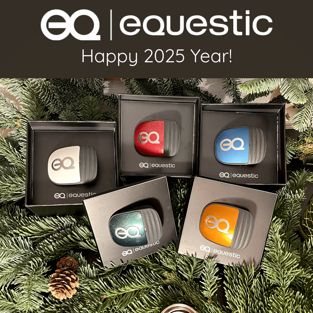 Happy New 2025 Year Equestic SaddleClip