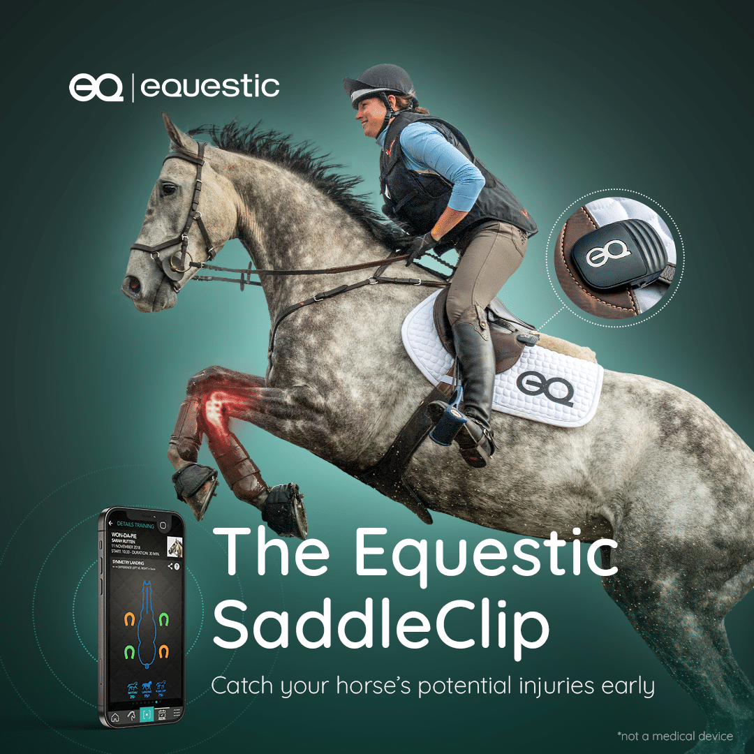 FEI Lameness Protocol - Equestic SaddleClip