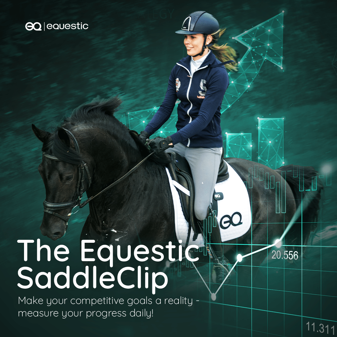 Balanced Training - Equestic SaddleClip