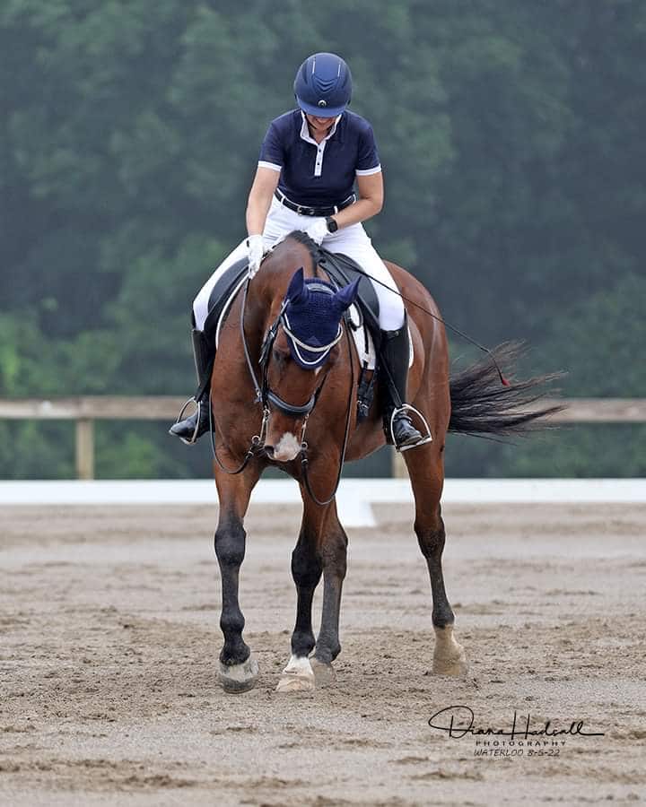Horse performing exercises to improve symmetry - measured by  Equestic SaddleClip