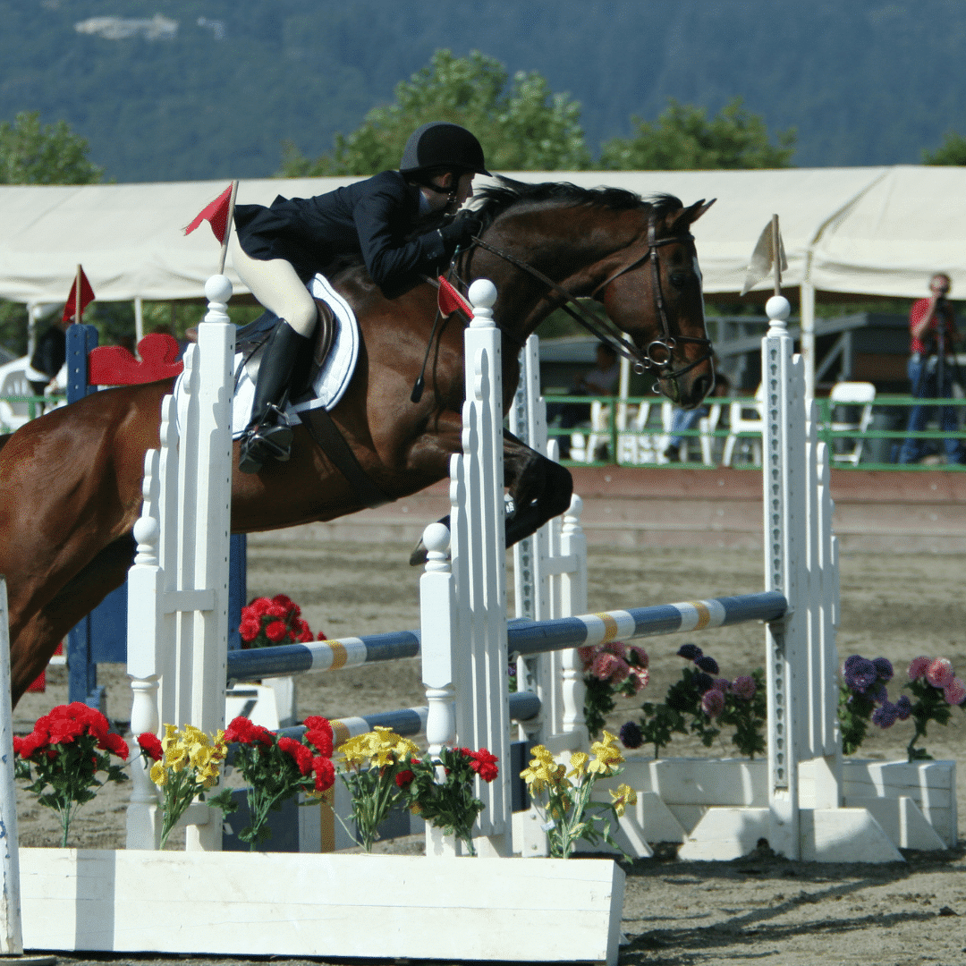 A powerful sport horse jumping a high fence with a rider in perfect balance