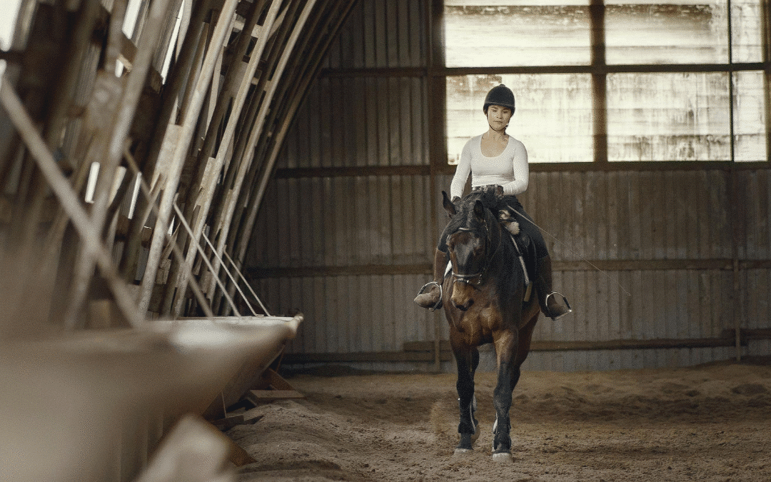 Training Alone? Let the Equestic SaddleClip Be Your Eyes on the Ground