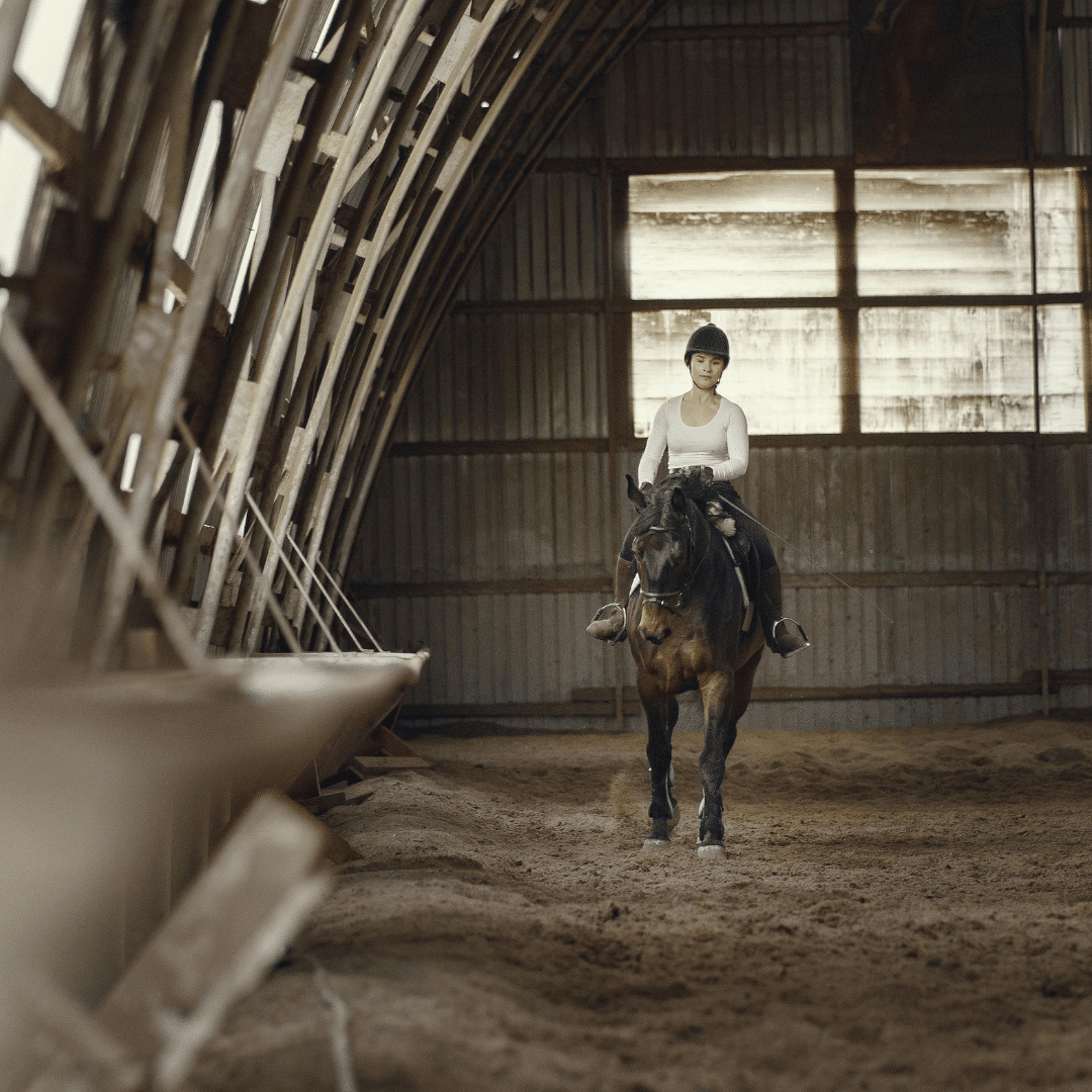 Solo Rider in a training session with her horse and Equestic