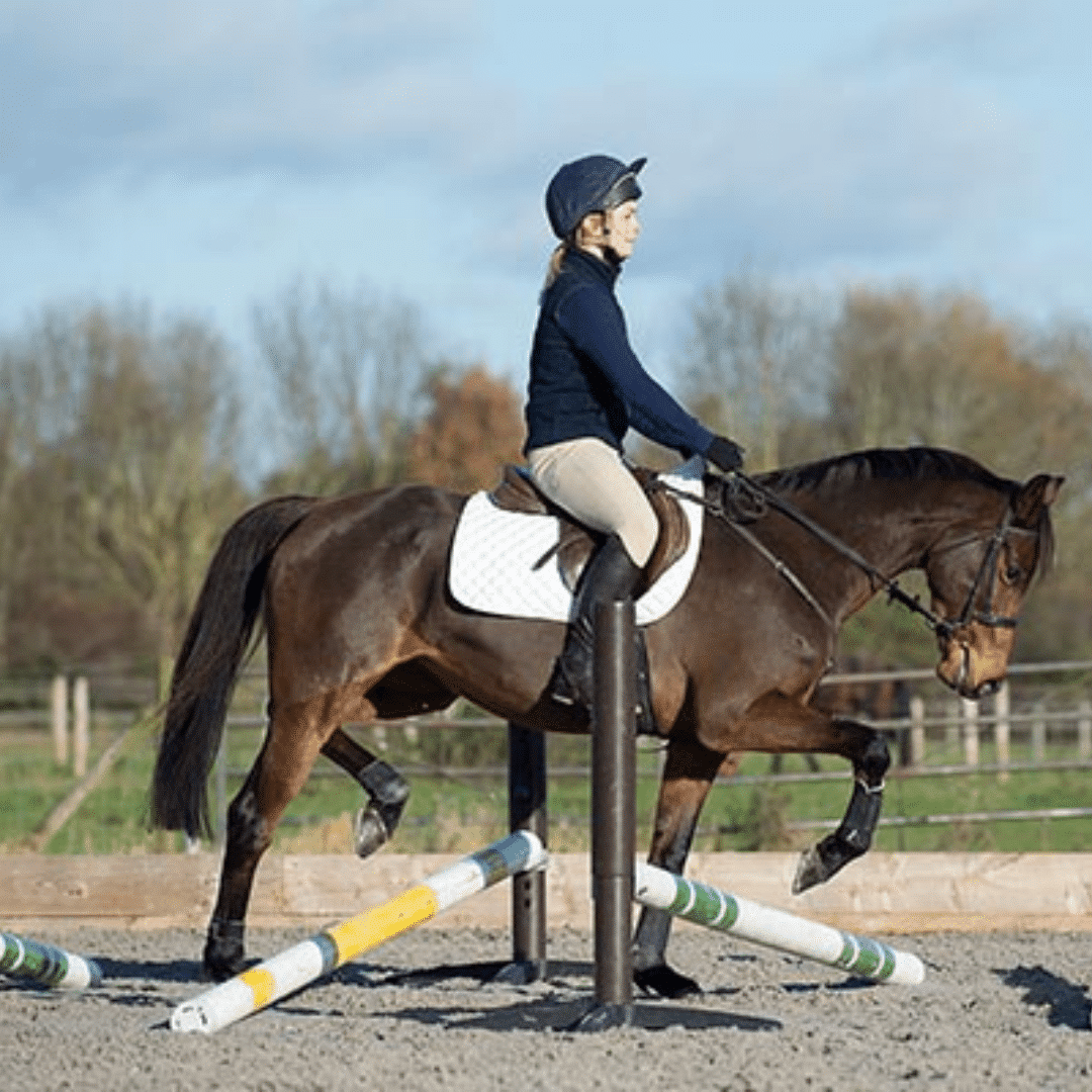 Young female rider guiding her horse over raised pole exercises to improve flexibility, balance, and build stronger topline muscles