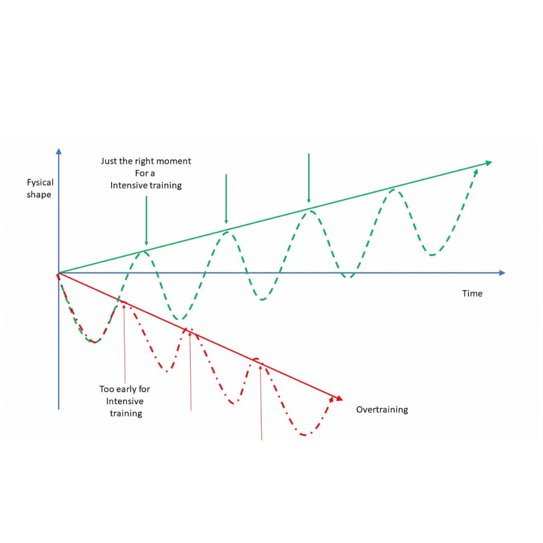 How Supercompensation works shown in a graph
