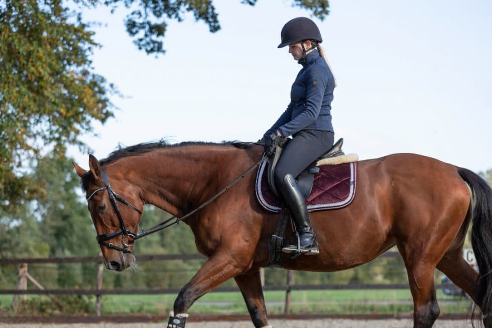spotting signs of fatigue in a horse