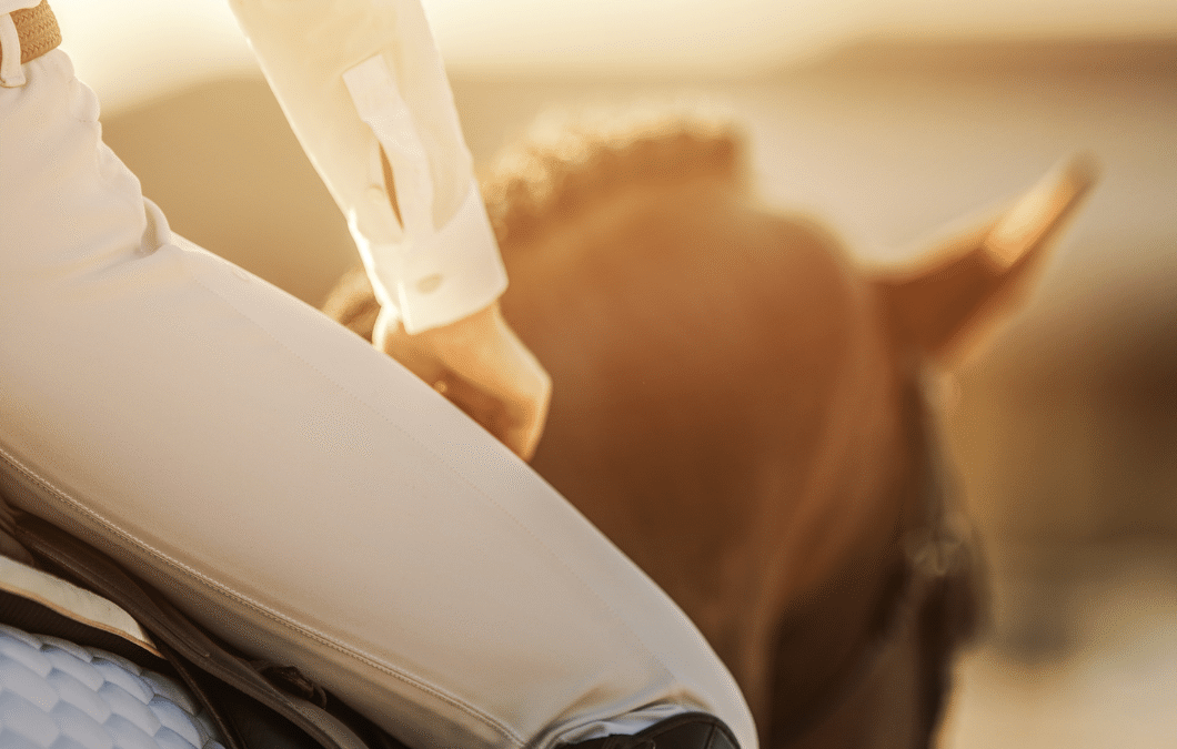 Supercompensation in Horses: Real-Time Training with the Equestic SaddleClip