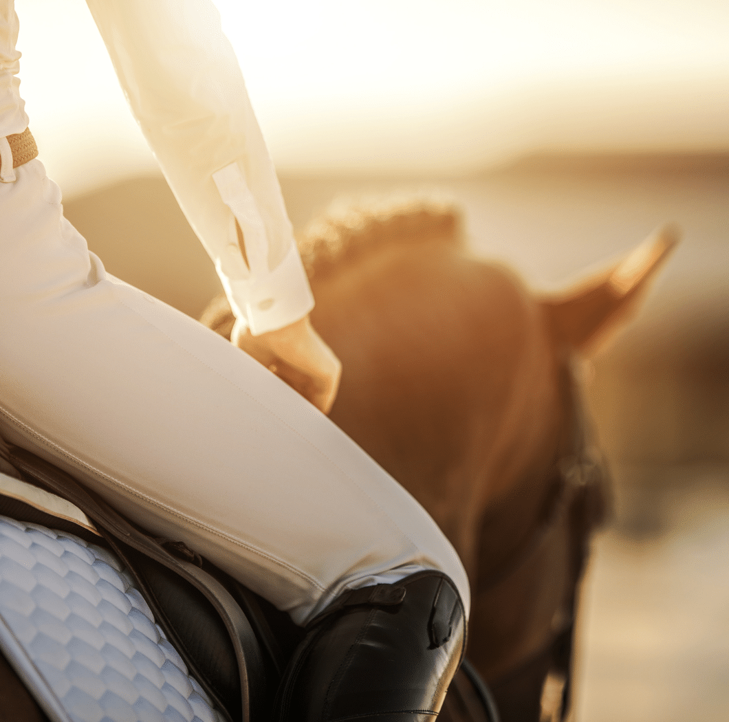 Supercompensation is essential to improving your horse performance