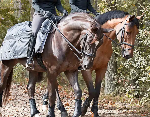 working your horse correctly to prevent fatigue