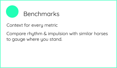 Benchmarks with Equestic SaddleClip