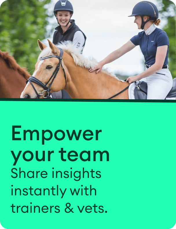 Empower your team by Equestic SaddleClip