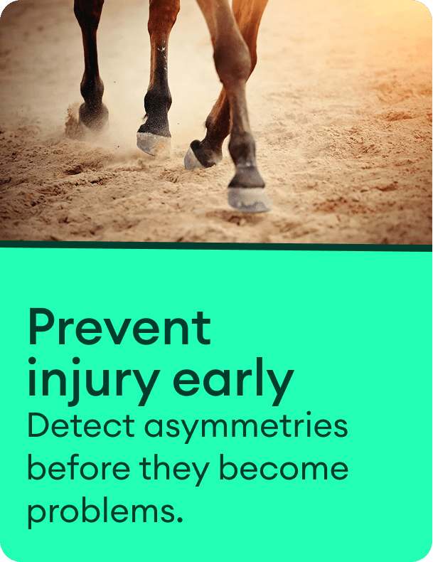 Prevent injury early with Equestic SaddleClip