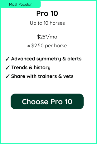Equestic Professional subscription - with 2 horse profiles