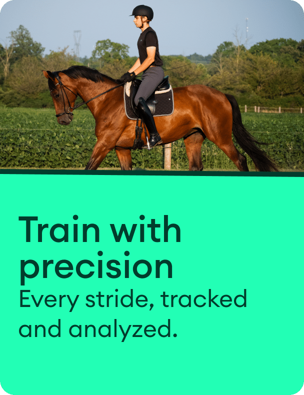 Train with precision - Equestic SaddleClip