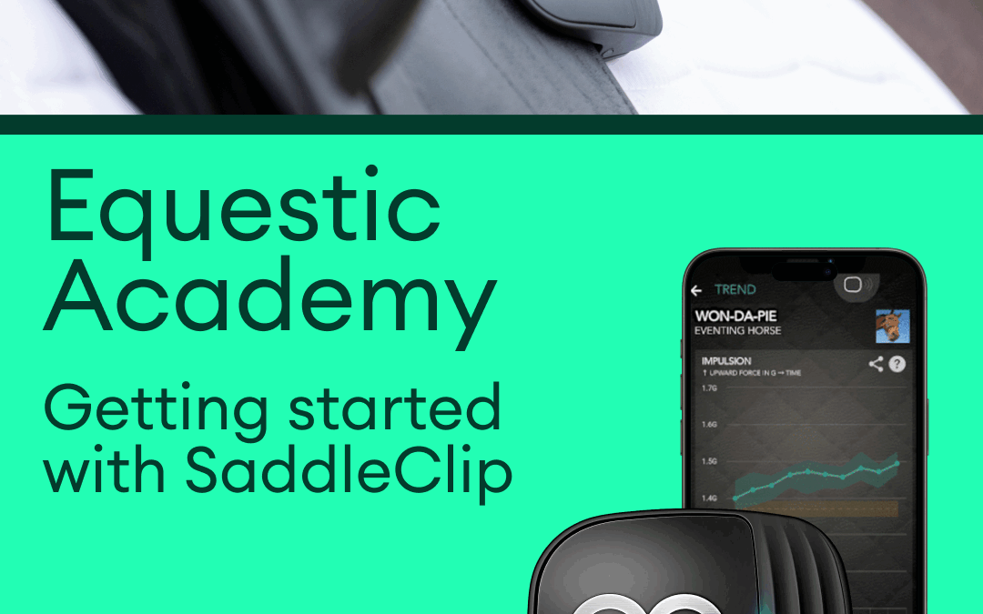 Getting started with SaddleClip