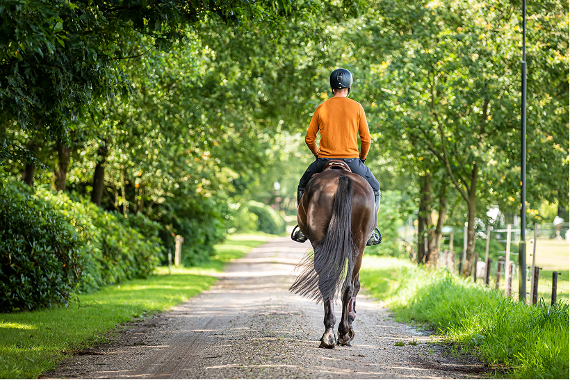 Rider lost on the way without Equestic Coach-copilot