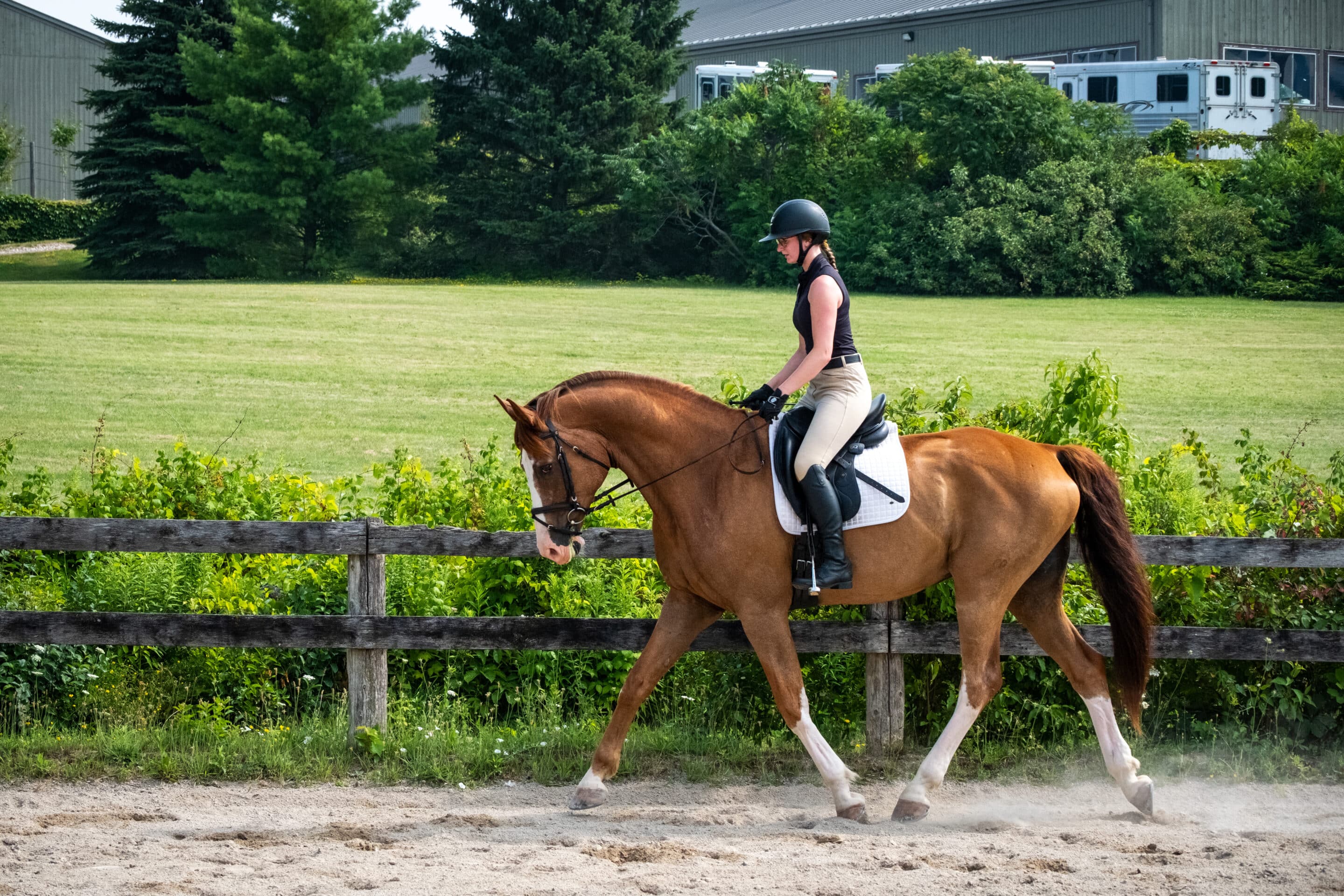 How Technology Can Help Find the Balance Between Performance and Horse Welfare